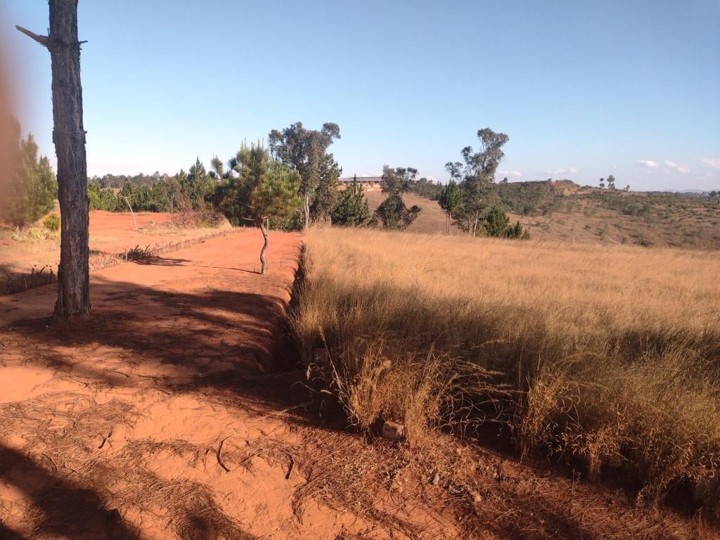SAHAZA II β Site perimeter and access path