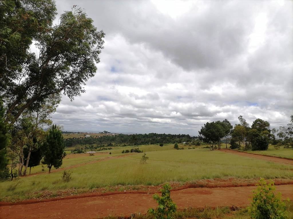 SAHAZA II β Subdivided land with prepared roads