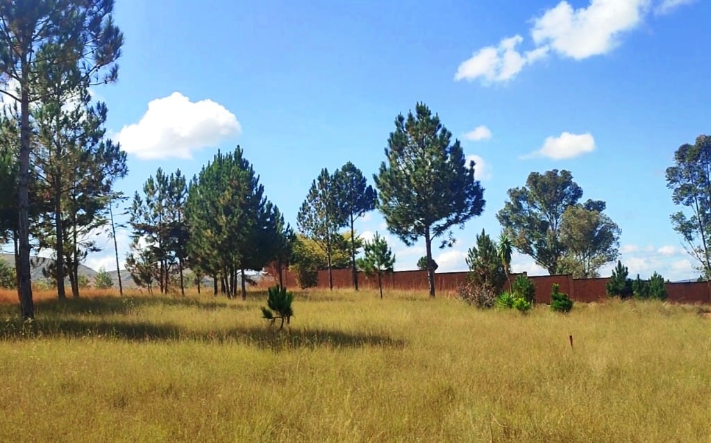SAHAZA II β Pine-lined plots with secured boundary
